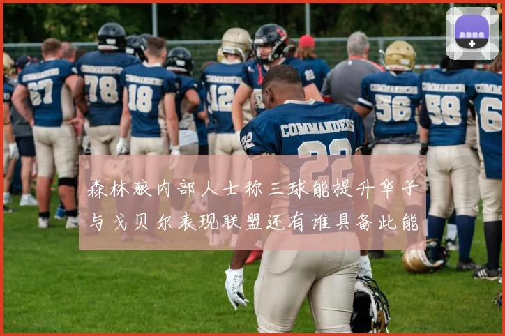 森林狼内部人士称三球能提升华子与戈贝尔表现联盟还有谁具备此能力