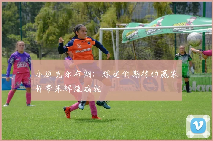 小迈克尔布朗：球迷们期待的赢家将带来辉煌成就