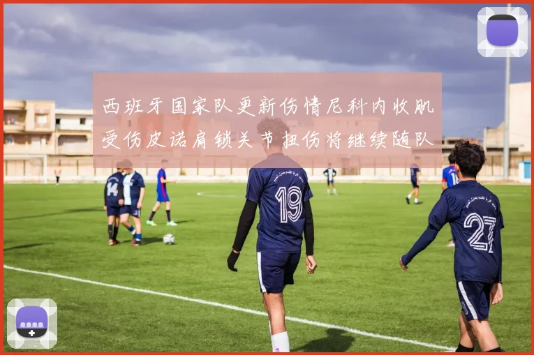 西班牙国家队更新伤情尼科内收肌受伤皮诺肩锁关节扭伤将继续随队训练