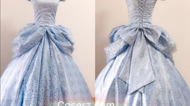 Top 5 Adult Cinderella Dress Disney Cartoon Version