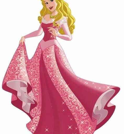 Top 5 Disney Princess Aurora Costume for Adults